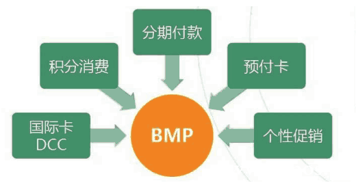 BMP的功能